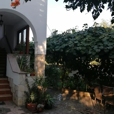 Big Dream 1 * ロヴィニ